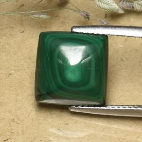 Malaquita verde natural 8,08ct, quadrado, opaco