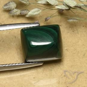 Malaquita verde pinho Natural 9.74ct, baguete, Opaco