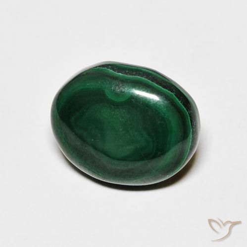 Malaquita verde pinho Natural 6.18ct, oval, Opaco