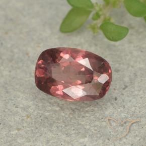 Malaya Garnet rosa médio Natural 0.61ct, Almofada cortada, VS