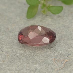Malaya Garnet rosa médio Natural 0.61ct, Almofada cortada, VS