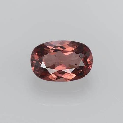 Malaya Garnet Rosa Natural 0.56ct, Corte Oval, VS