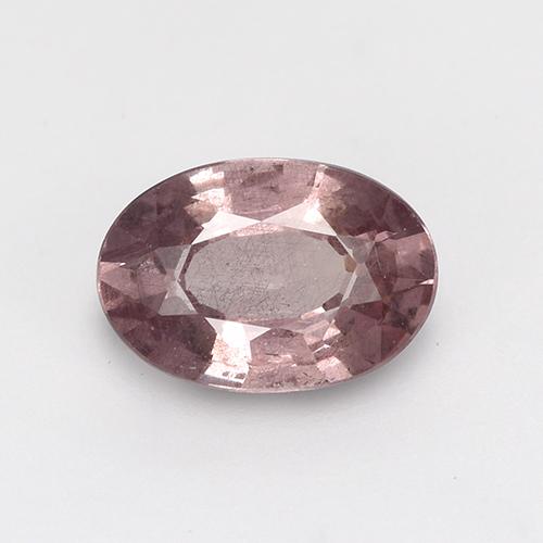 Malaya Garnet Rosa Jacarandá Profundo Natural 0.59ct, Corte Oval, VS