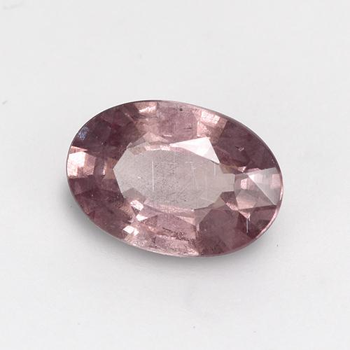 Malaya Garnet Rosa Jacarandá Profundo Natural 0.59ct, Corte Oval, VS