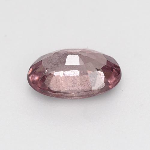 Malaya Garnet Rosa Jacarandá Profundo Natural 0.59ct, Corte Oval, VS