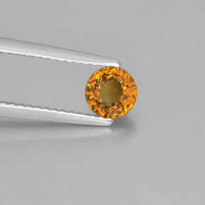Pequena Garnet Dourado Esverdeado Natural 0.74ct, Corte Redondo, VVS