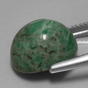 Maw-sit-sit verde natural 11,79ct, corte oval, opaco