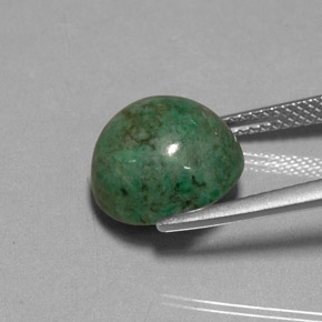 Maw-sit-sit Verde Natural 7,15ct, Corte Redondo, Opaco