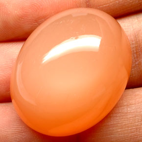 Pedra da lua laranja natural 68,02ct, transparente, transparente/translúcido