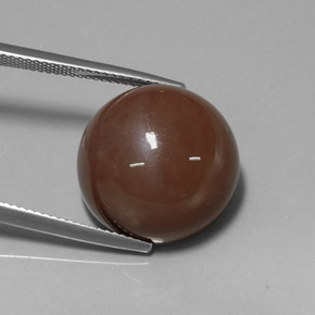 Pedra da lua marrom natural 20,19ct, corte redondo, opaco