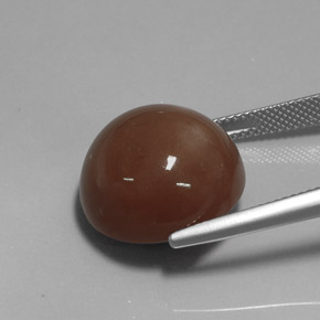 Pedra da lua marrom natural 20,19ct, corte redondo, opaco
