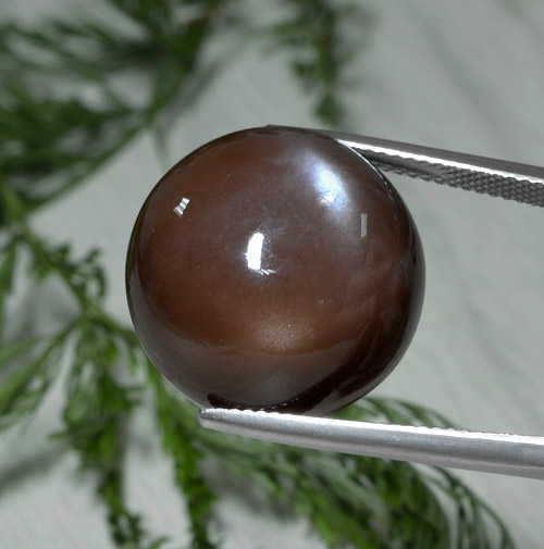 Pedra da lua marrom natural 26,22ct, corte redondo, opaco