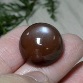 Pedra da lua marrom natural 26,22ct, corte redondo, opaco