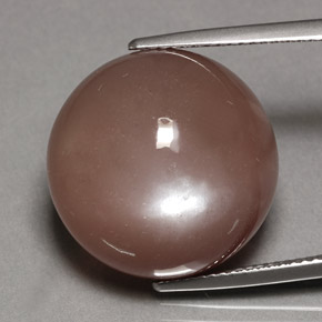 Pedra da lua marrom natural 24,70ct, corte redondo, opaco
