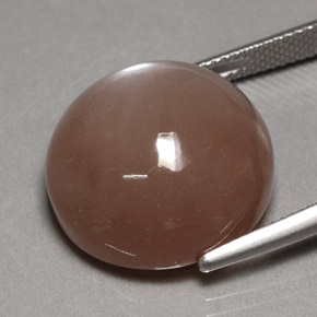 Pedra da lua marrom natural 24,70ct, corte redondo, opaco