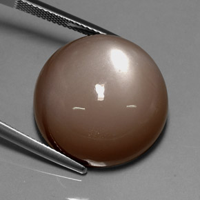 Pedra da lua marrom natural 33,72ct, corte redondo, opaco