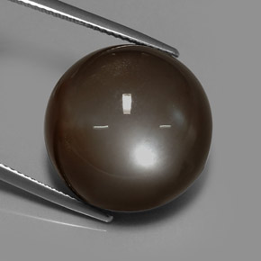 Pedra da lua marrom natural 30,64ct, corte redondo, translúcido