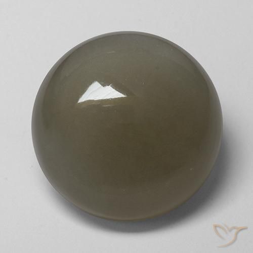 Pedra da Lua Cinza marrom Natural 16.89ct, Redondo, Translúcido