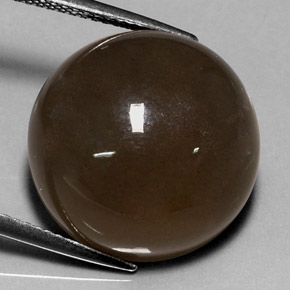 Pedra da lua marrom natural 18,40ct, corte redondo, translúcido