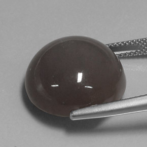 Pedra da lua marrom natural 19,43ct, corte redondo, translúcido