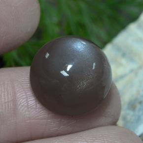 Pedra da lua marrom natural 12,26ct, corte redondo, translúcido