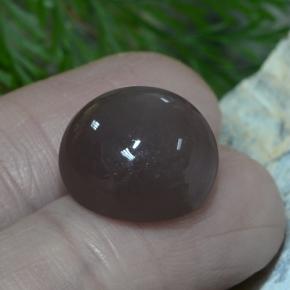 Pedra da lua marrom natural 12,26ct, corte redondo, translúcido