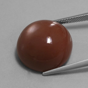 Pedra da lua marrom natural 20,66ct, corte redondo, opaco