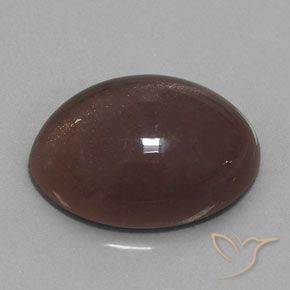 Pedra da Lua Castanho médio Natural 20.00ct, oval, Opaco