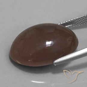Pedra da Lua Castanho médio Natural 20.00ct, oval, Opaco