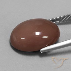 Pedra da Lua Marrom avermelhado Natural 18.34ct, oval, Opaco