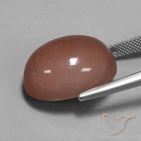 Pedra da Lua Castanho médio Natural 23.67ct, oval, Opaco