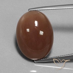 16.52ct Natural Castanho médio Pedra da Lua, oval, Translúcido