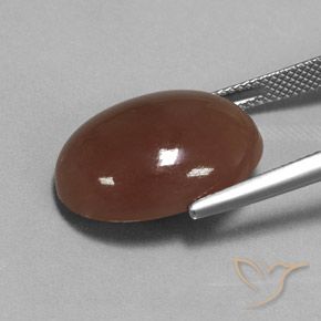 Pedra da Lua Castanho médio Natural 16.52ct, oval, Translúcido