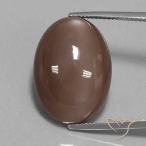 23.78ct Natural Castanho médio Pedra da Lua, oval, Opaco