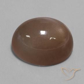 Pedra da Lua Espresso Marrom Natural 36.79ct, oval, Opaco