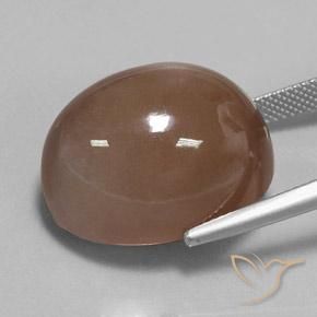 Pedra da Lua Espresso Marrom Natural 36.79ct, oval, Opaco