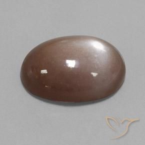 Pedra da Lua Castanho médio Natural 22.65ct, oval, Opaco