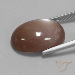 Pedra da Lua Castanho médio Natural 22.65ct, oval, Opaco