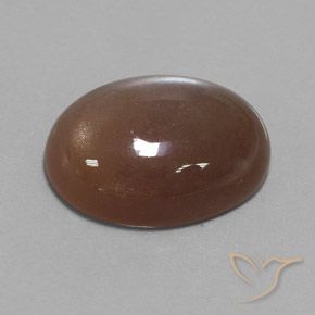 Pedra da Lua Espresso Marrom Natural 22.15ct, oval, Opaco