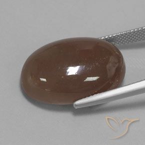 Pedra da Lua Castanho médio Natural 22.96ct, oval, Opaco