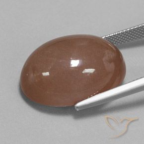 Pedra da Lua Castanho médio Natural 27.61ct, oval, Opaco