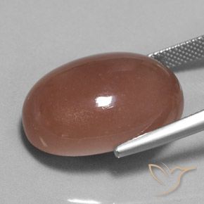 Pedra da Lua Marrom Quente Natural 25.17ct, oval, Opaco