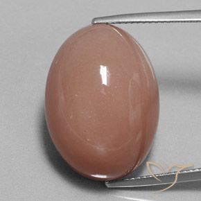 Pedra da lua marrom de 31,34 quilates, corte oval de 20,2 x 16,2 mm da Índia, Photo A