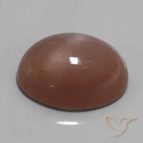 Pedra da Lua Marrom Natural 25.38ct, oval, Opaco