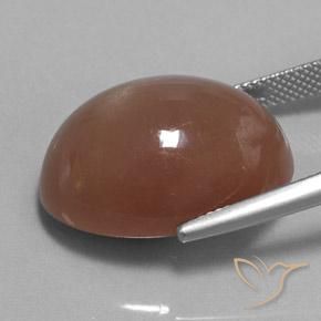 Pedra da Lua Marrom Natural 25.38ct, oval, Opaco