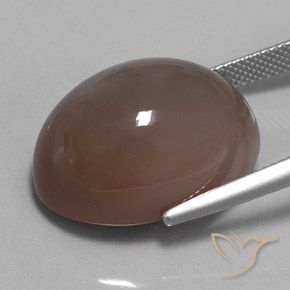Pedra da Lua Espresso Marrom Natural 29.70ct, oval, Opaco