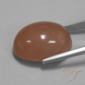 Pedra da Lua Marrom Natural 30.83ct, oval, Opaco