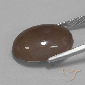 Pedra da Lua Castanho médio Natural 22.19ct, oval, Opaco