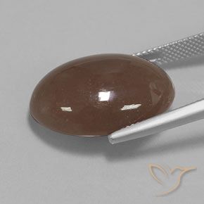 Pedra da Lua Castanho médio Natural 20.61ct, oval, Opaco