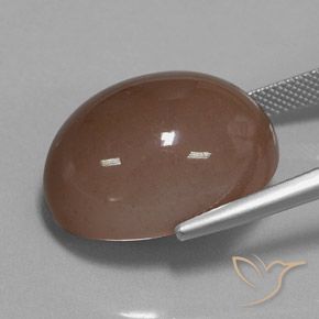 Pedra da Lua Marrom Natural 30.75ct, oval, Opaco